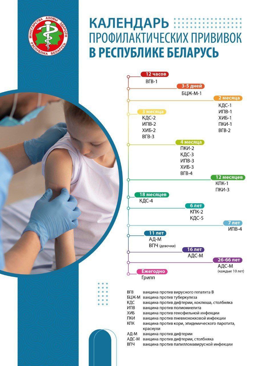 Календарь профилактическиз прививок